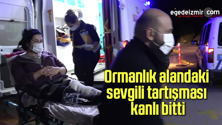 ormanlık