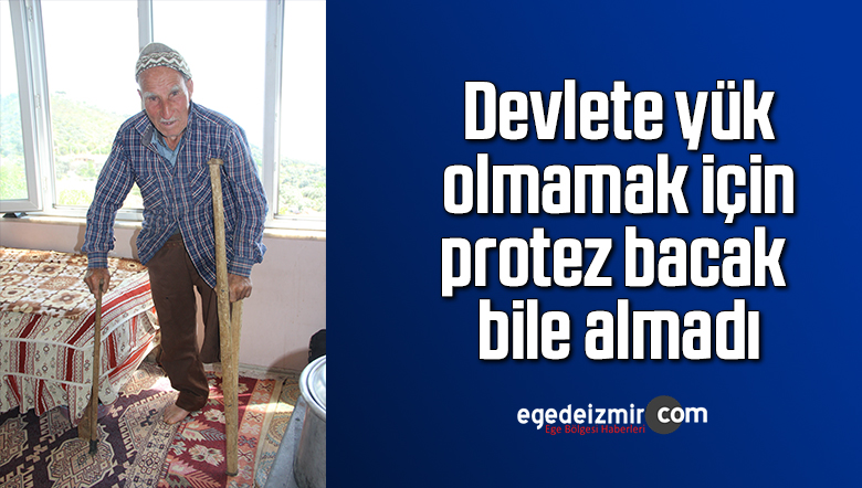 protez