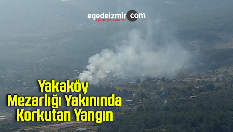 yangın