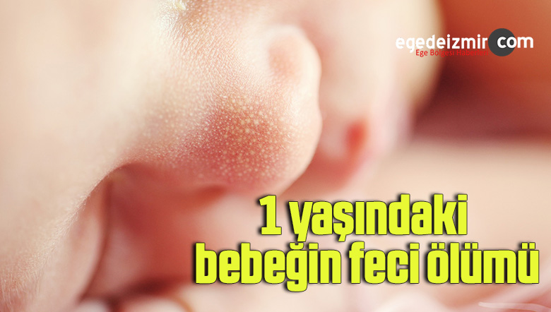 bebek