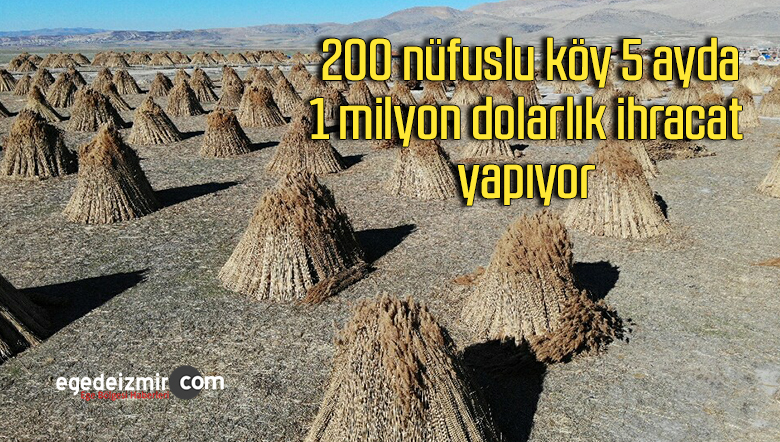 köy
