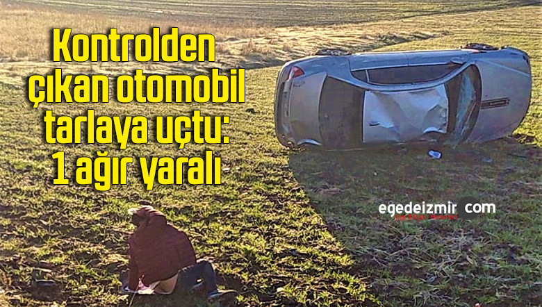 tarla