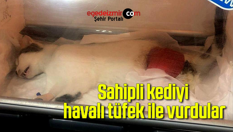 tüfek