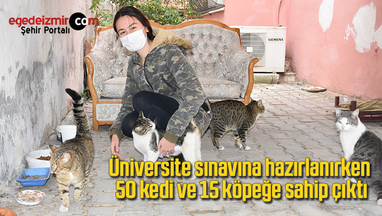 köpek