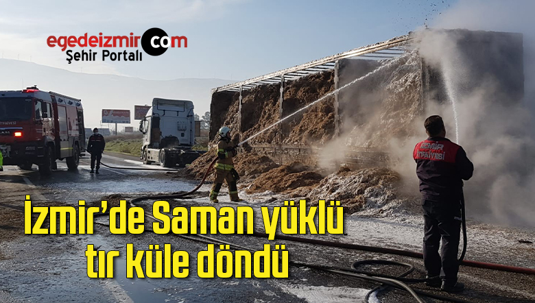 tıt