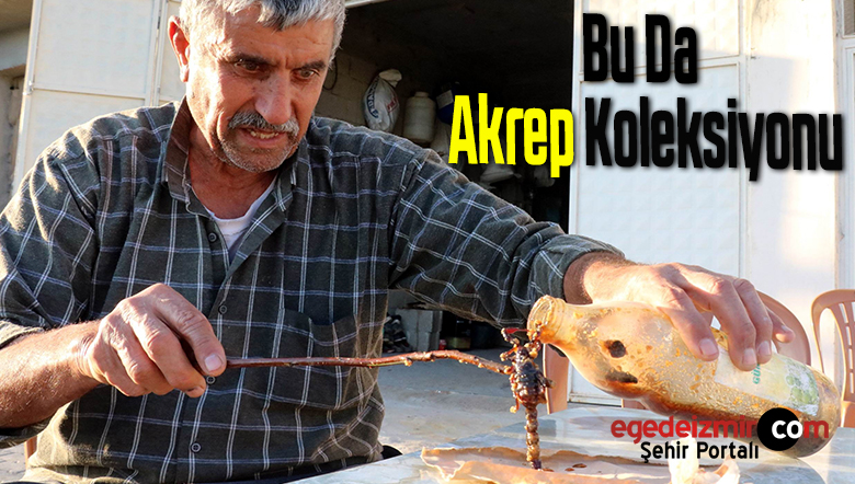 akrep koleksiyonu