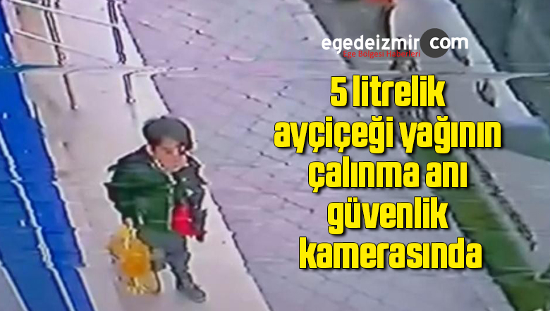 ayçiceği
