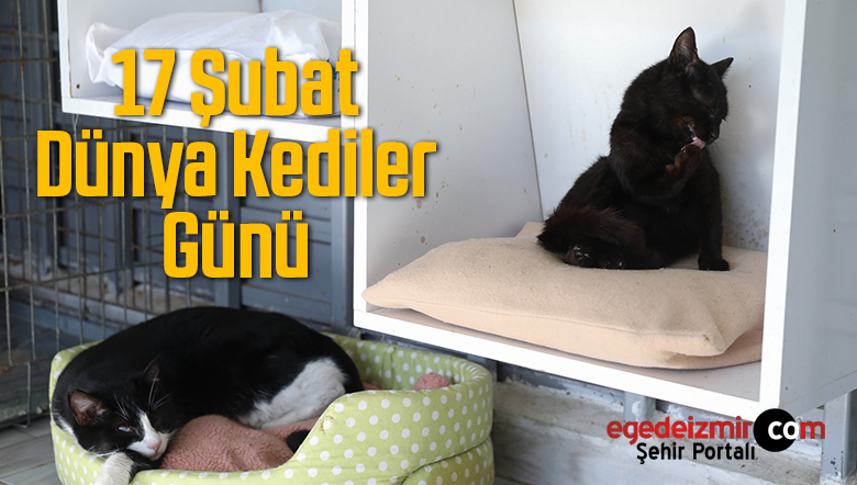 buca belediyesi