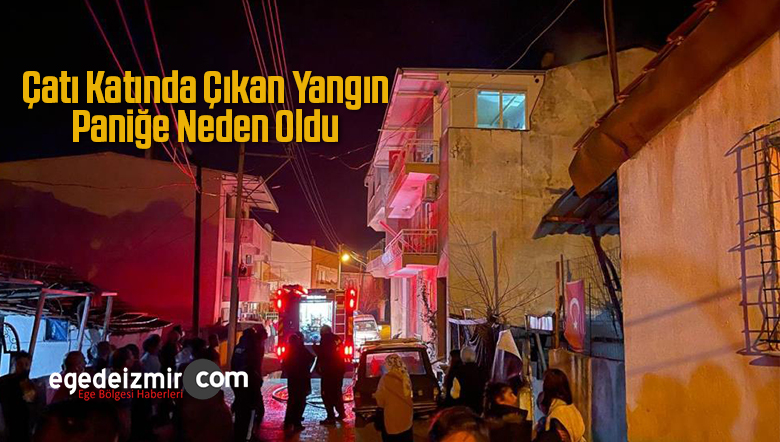 çatı