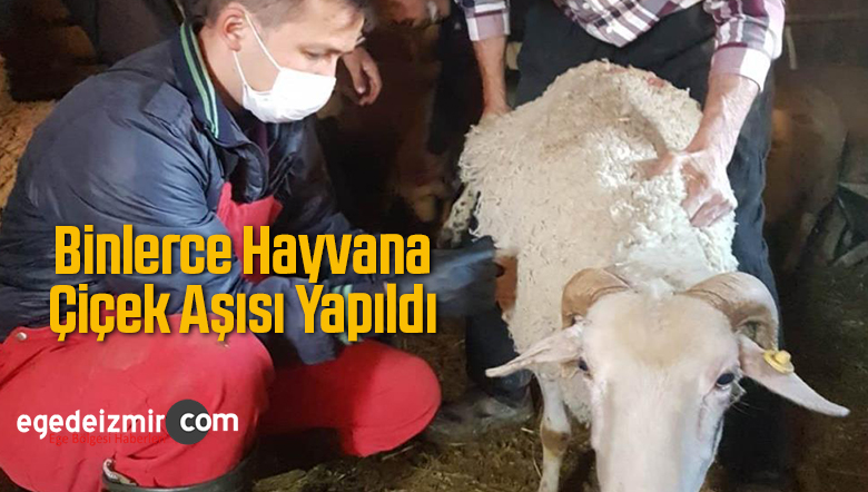 çiçek aşısı