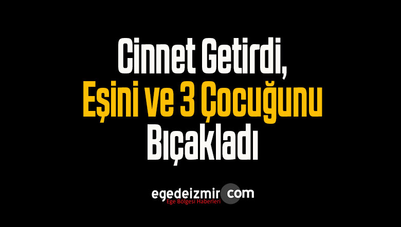 cinnet