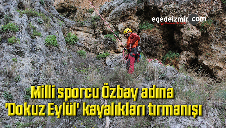 dokuz