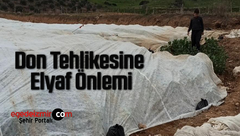don tehlikesine2