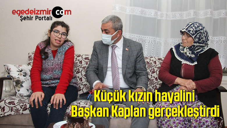 hayal