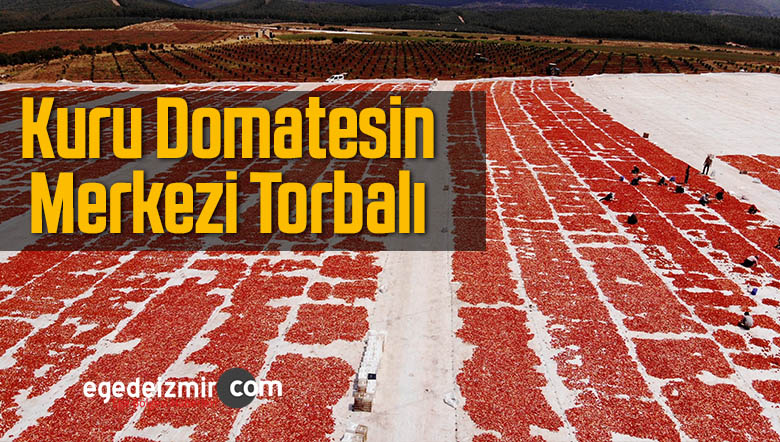 kuru domates