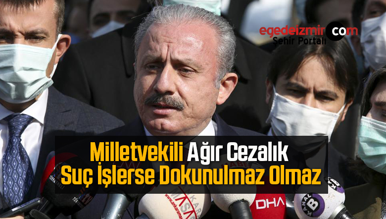 milletvekili