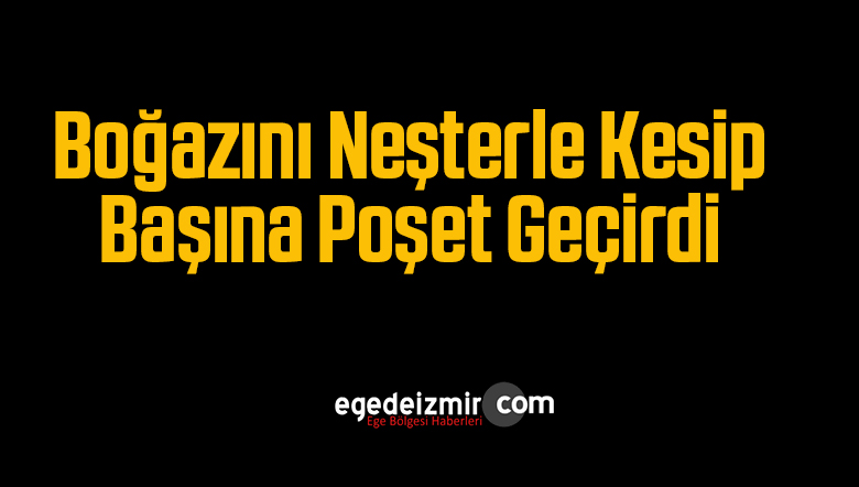 neşterle