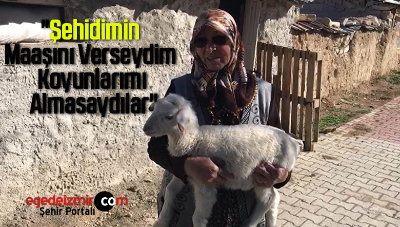 şehit annesi