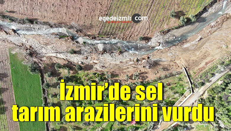 tarım
