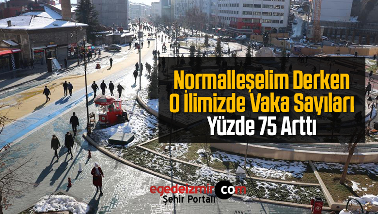 vaka sayıları