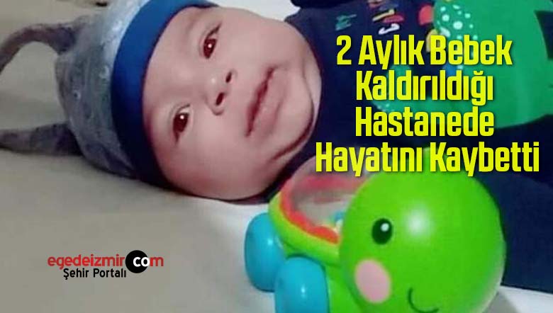 2 aylık