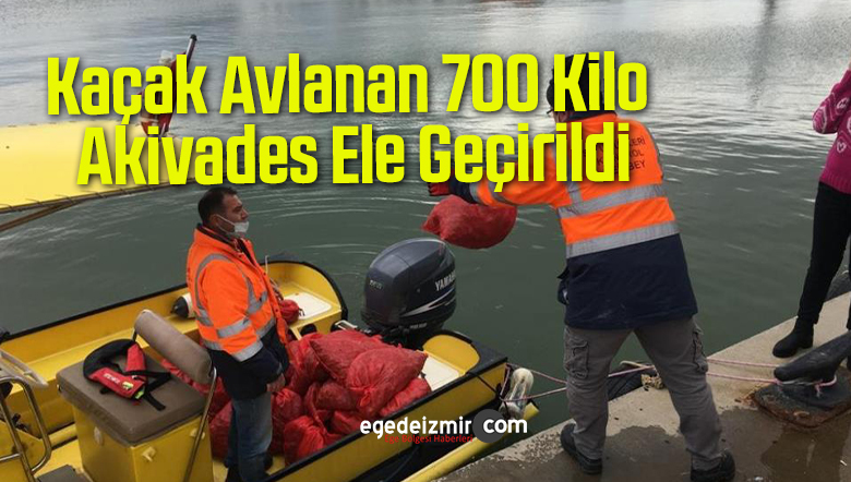 akivades