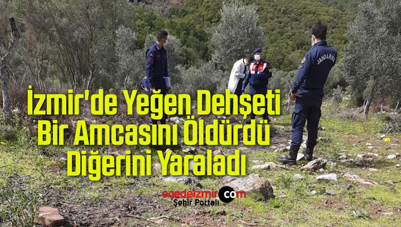 amcasını