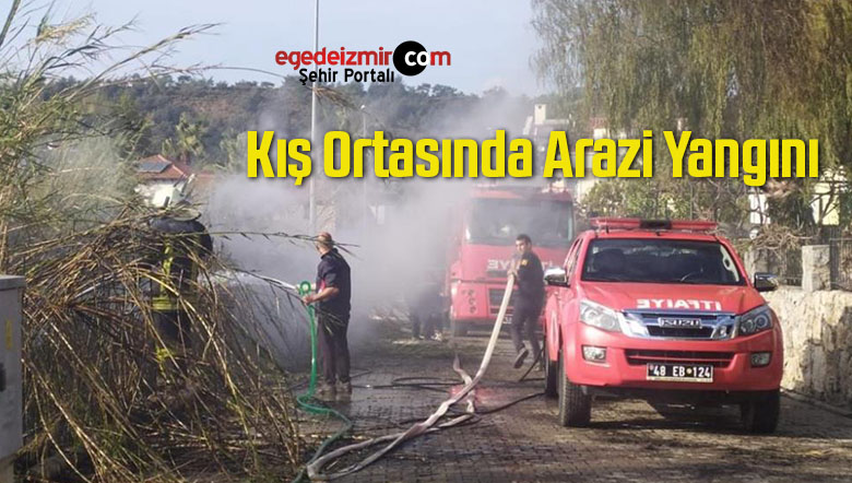 arazi yangını