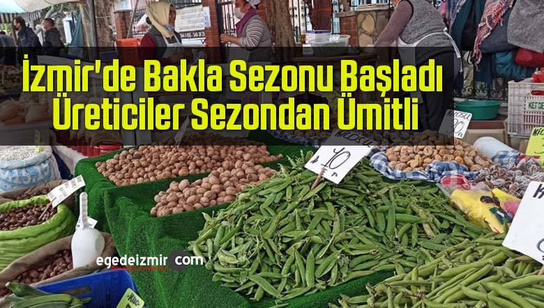 bakla sezonu