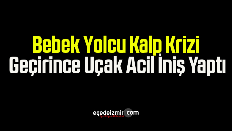 bebek yolcu