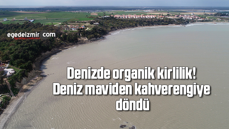 denzi