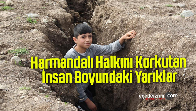 harmandalı