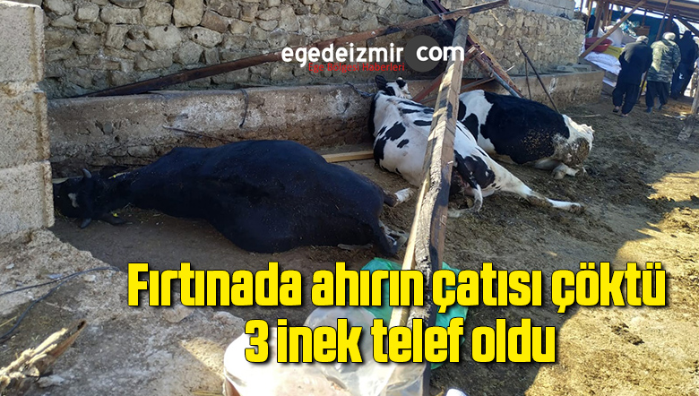 inek