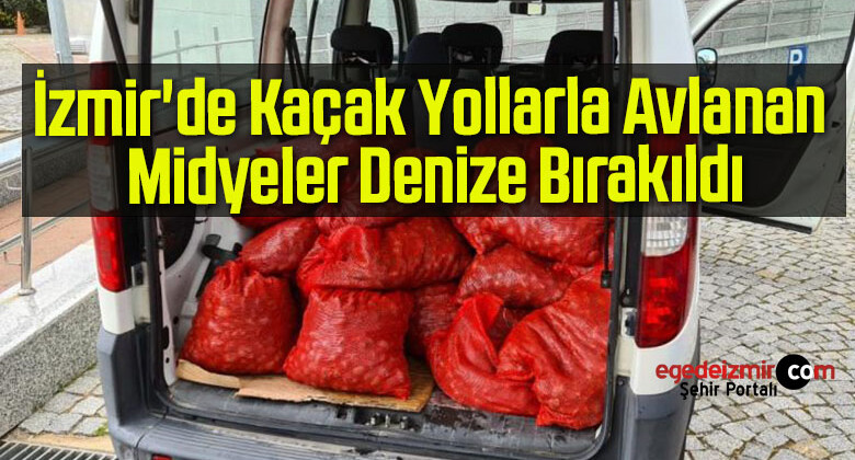 İzmir’de Kaçak Yollarla Avlanan 400 Kilo Midye Denize Bırakıldı