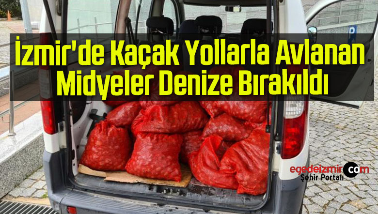 kaçak yollarla
