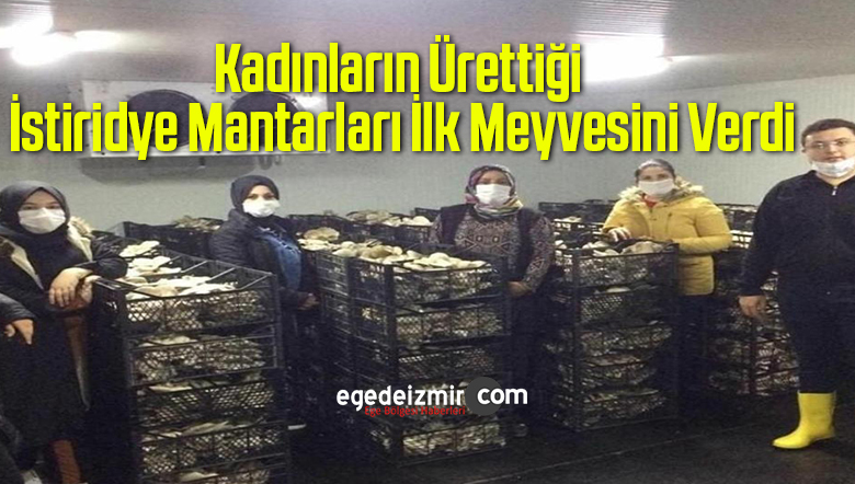 kadınların