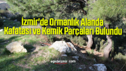İzmir’de Ormanlık Alanda Kafatası ve Kemik Parçaları Bulundu