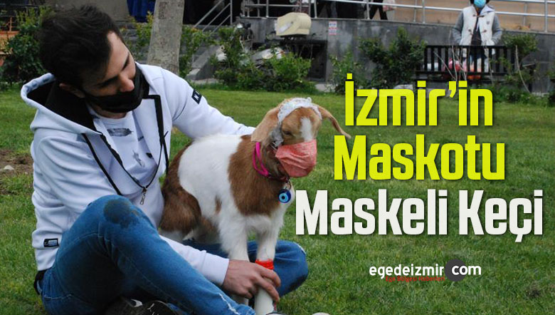 keçisine