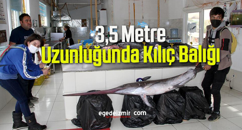 3,5 Metre Uzunluğundaki Kılıç Balığı Görenleri Şaşırttı