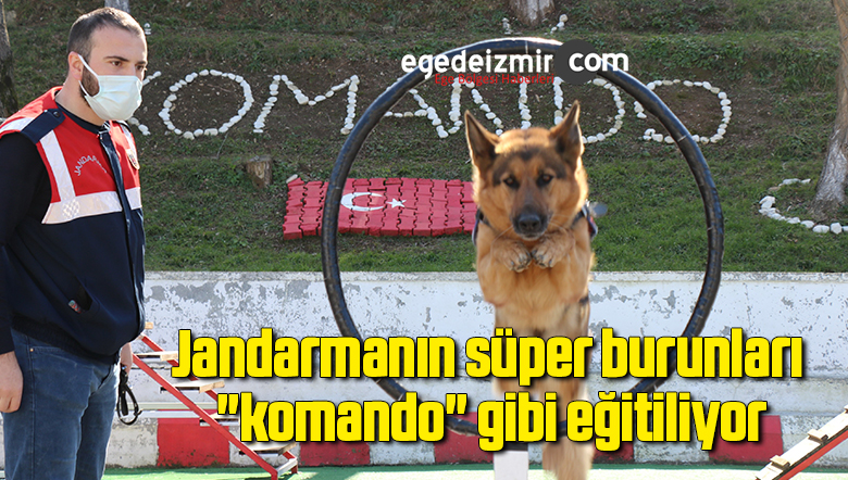 komando