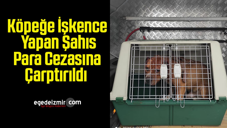 köpeğe işkence