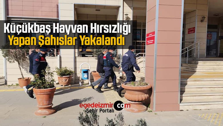 küçükbaş