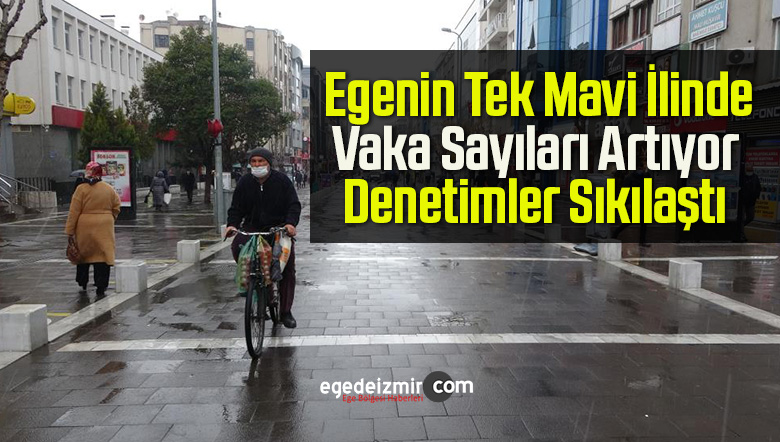 mavi