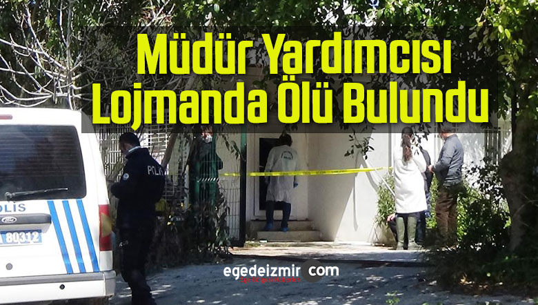 müdür yardımcısı