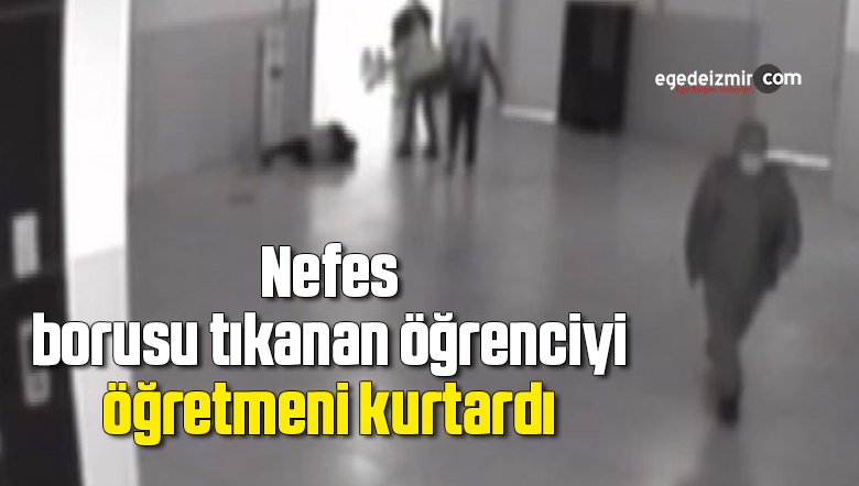 nefes