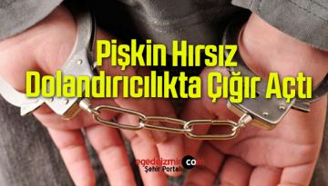 Pişkin Hırsız Dolandırıcılıkta Çığır Açtı