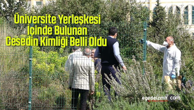 üniversite yerleşkesi