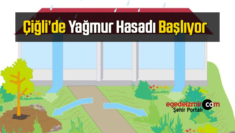 yağmur hasadı