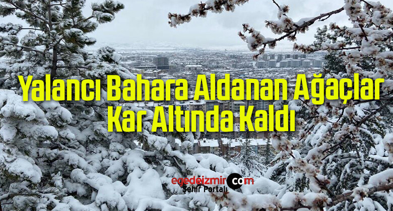 Yalancı Bahara Aldanan Ağaçlar Kar Altında Kaldı