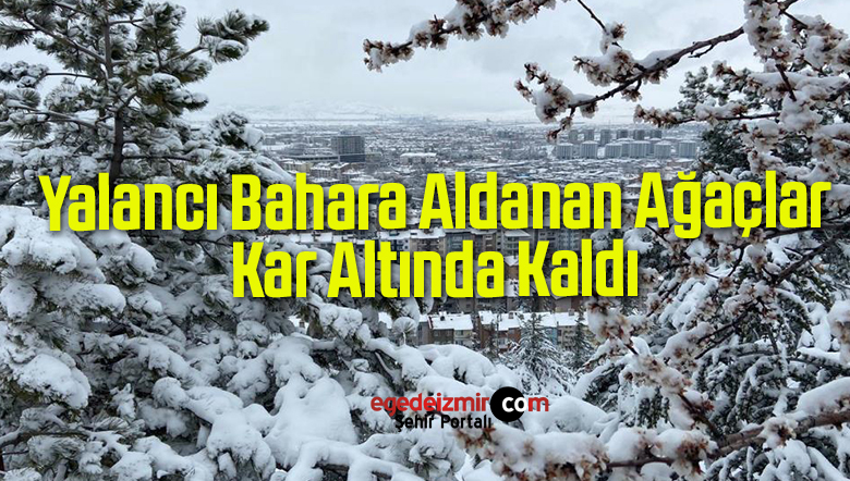 yalancı